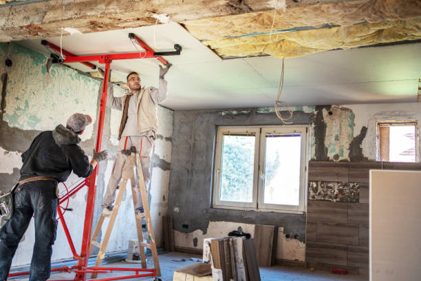 Best Cellulose Insulation  in La Mesa, CA