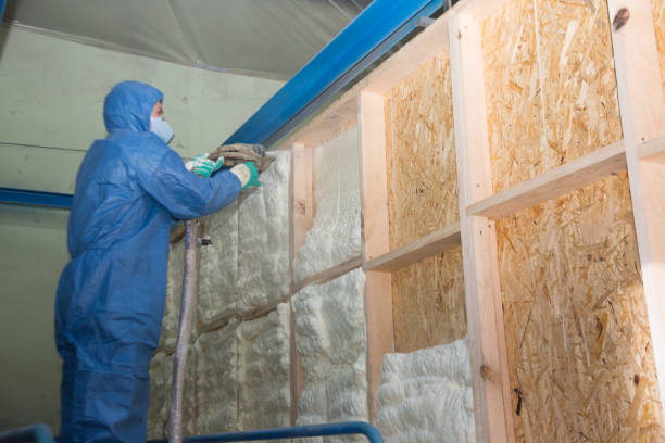 Best Insulation Removal  in La Mesa, CA